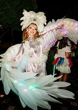 wing-dancer